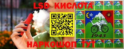 стафф Донской