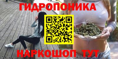 стафф Донской