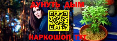 стафф Донской